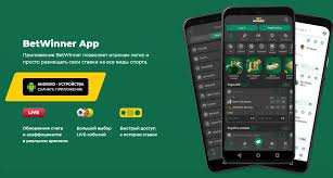 Explore the Features and Benefits of Betwinner Explore the Features and Benefits of Betwinner