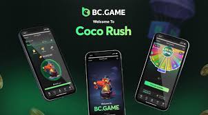 Exploring the BC.Game Crypto Casino Platform A Comprehensive Review