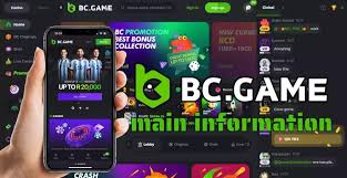 Exploring BC.Game Hub in Italy A New Frontier for Online Gaming