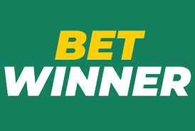 BetWinner Casino Your Ultimate Gaming Experience Awaits -809696776