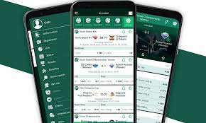 Comprehensive BetWinner Review An In-Depth Look at Features and Services
